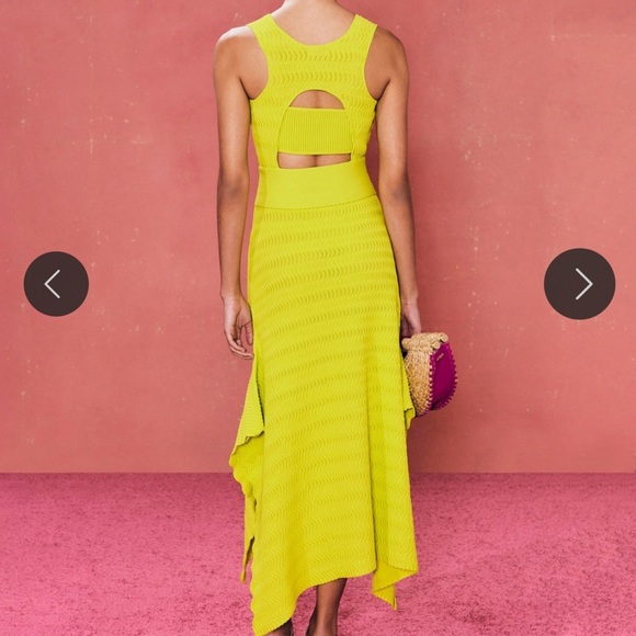 BNWT cult Gaia Natalia knit dress - Picture 9 of 10